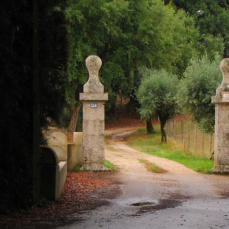 הוילה Ferreira do Zêzere Quinta Do Cerquito מראה חיצוני תמונה