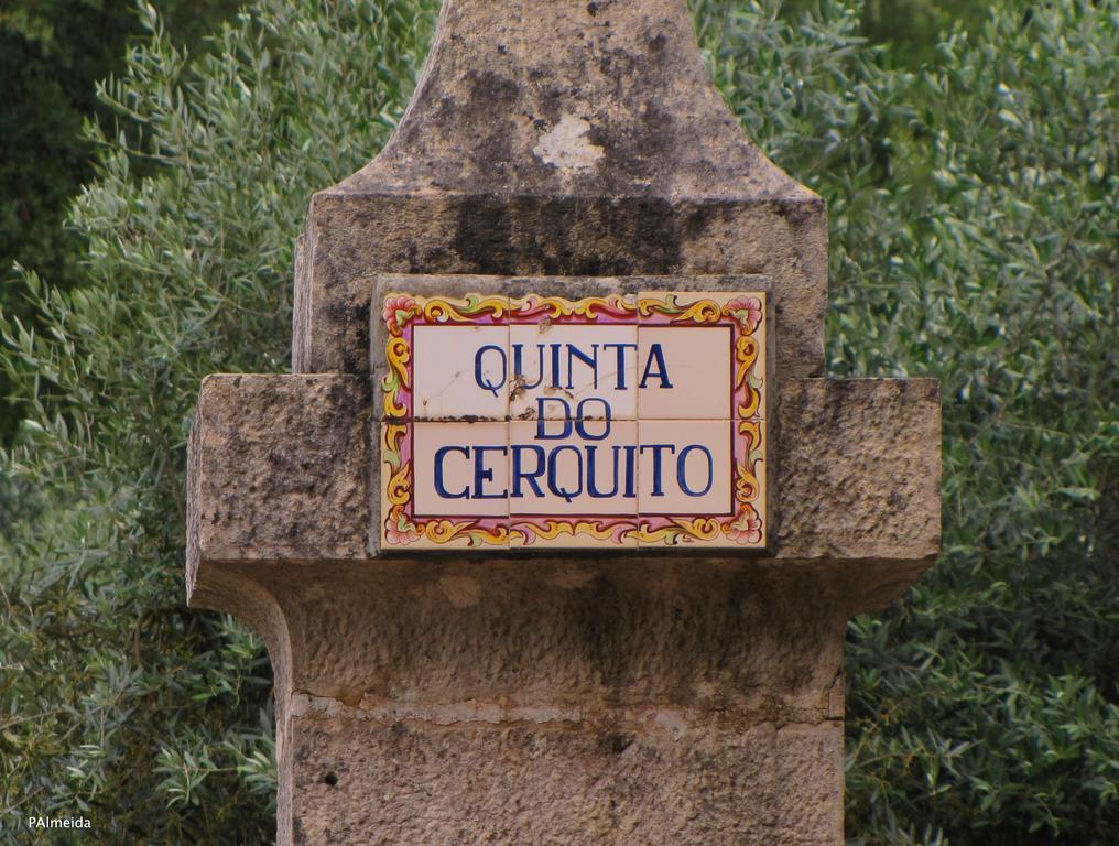 הוילה Ferreira do Zêzere Quinta Do Cerquito מראה חיצוני תמונה