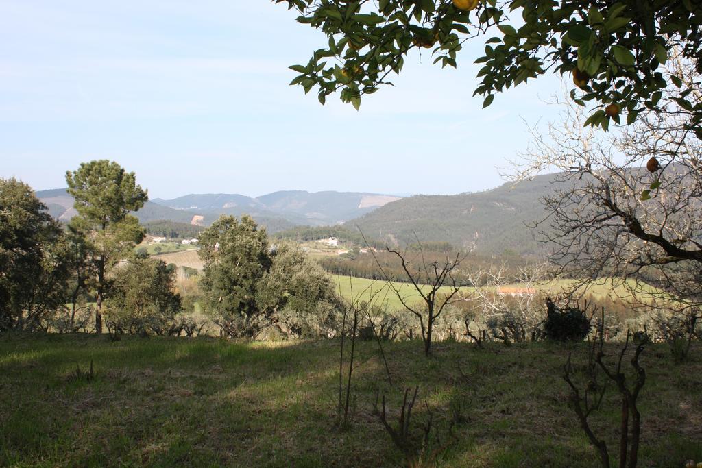 הוילה Ferreira do Zêzere Quinta Do Cerquito מראה חיצוני תמונה